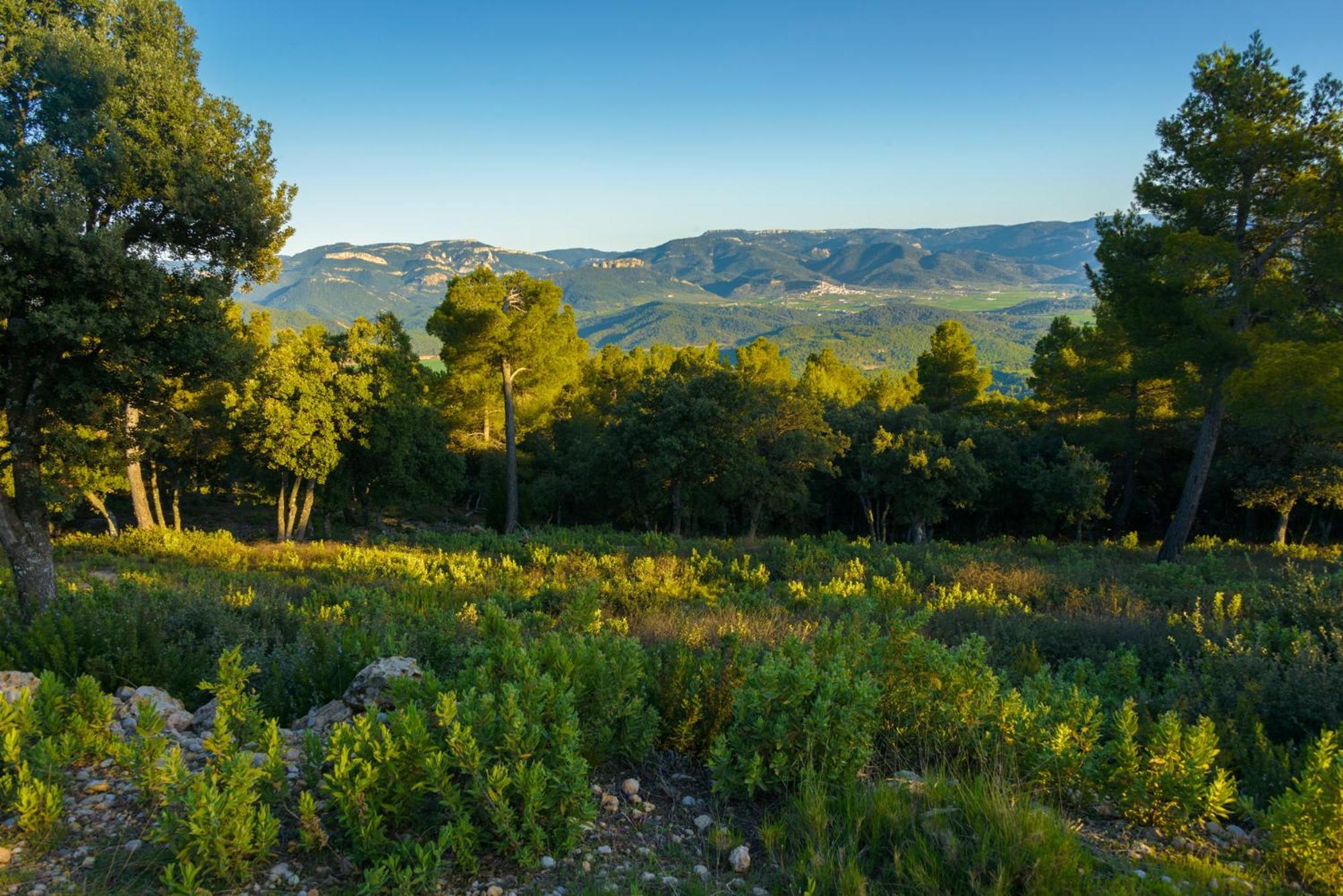Torre Del Marques Hotel Spa & Winery - Small Luxury Hotels Monroyo Exterior foto